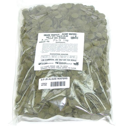 Hikari | Algae Wafers - 2.2 lb