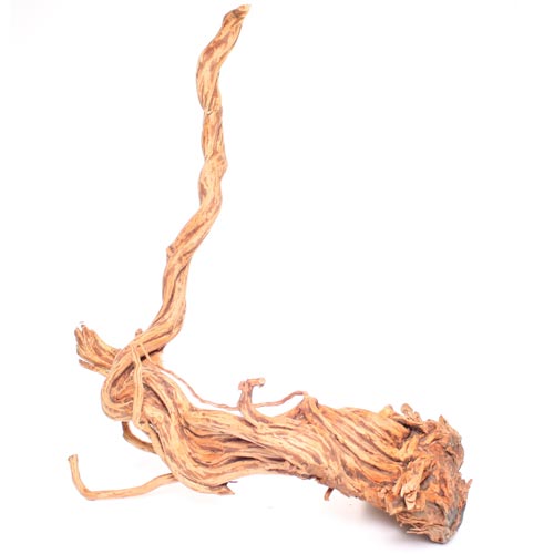 Bois de Terrarium | X-Large