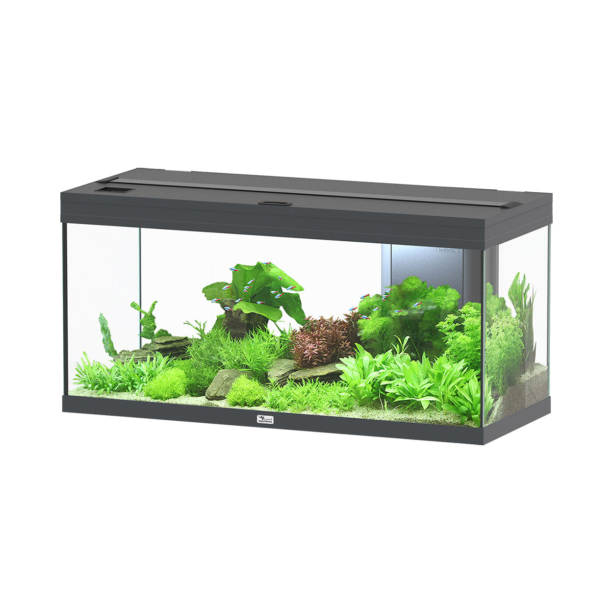 Aquarium Volga 180 - Gris Vésuve - 47.5 gallons