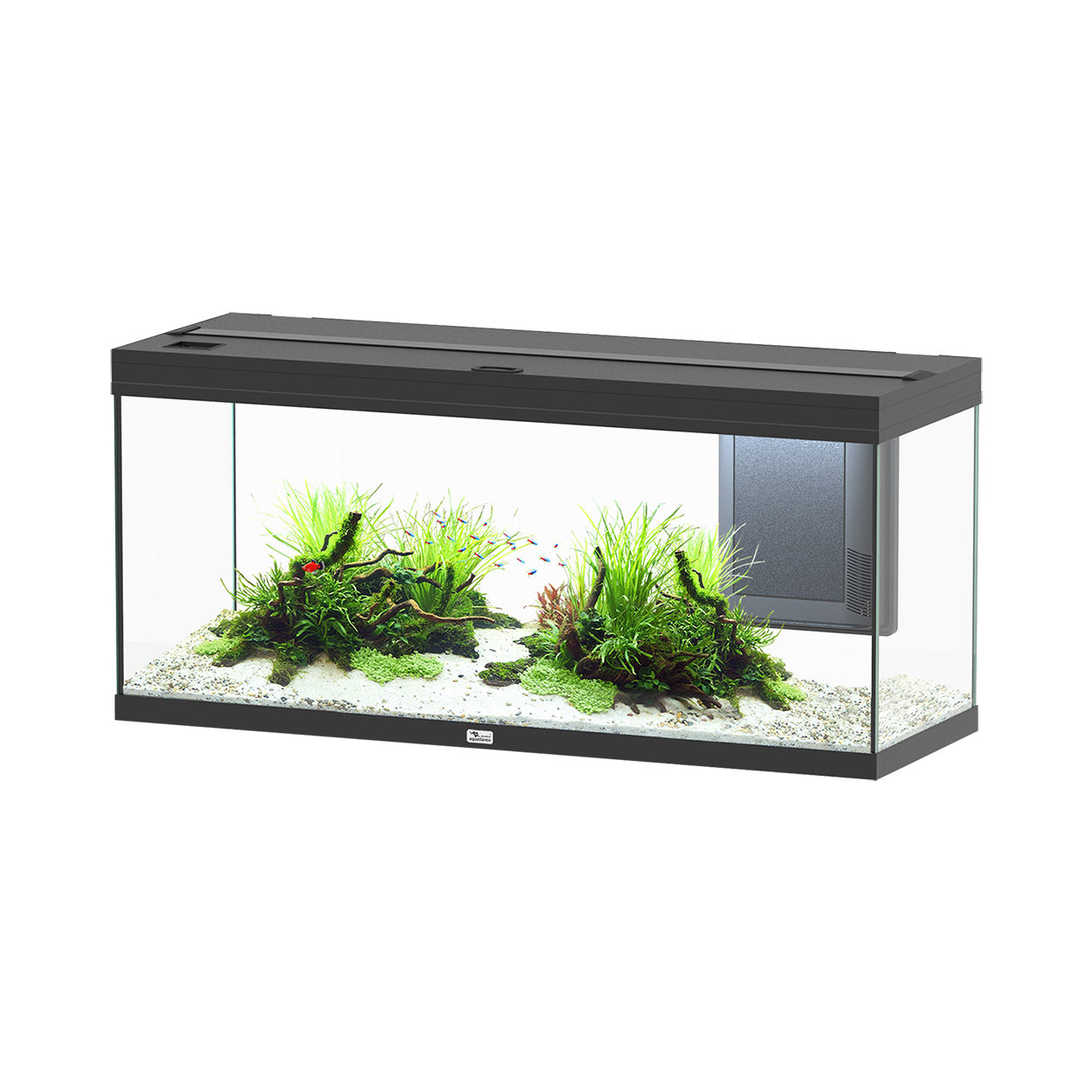 Aquarium Volga 240 - Noir Mat - 63 gallons