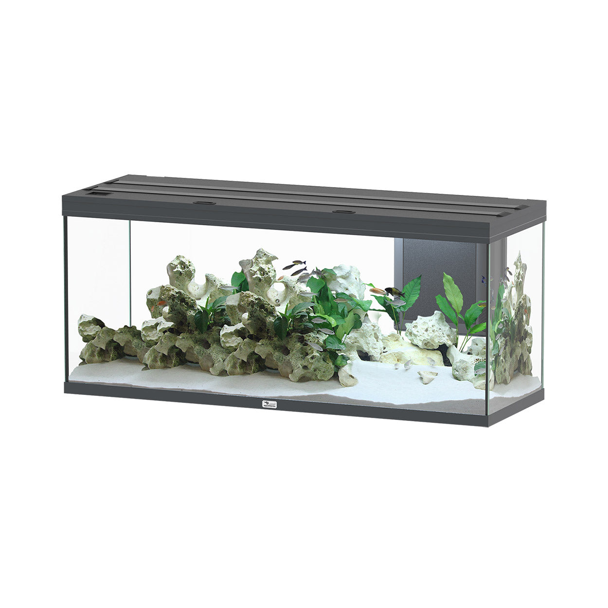 Volga 450 Aquarium - Vesuve Grey - 119 gal