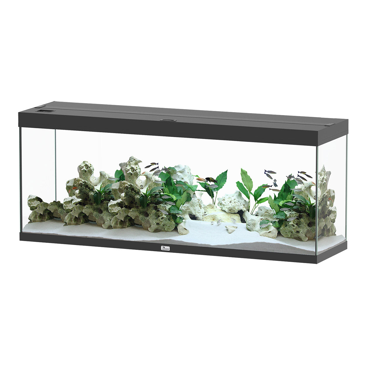 Aquarium Splendid 150 - Noir - 59" x 16" x 24"