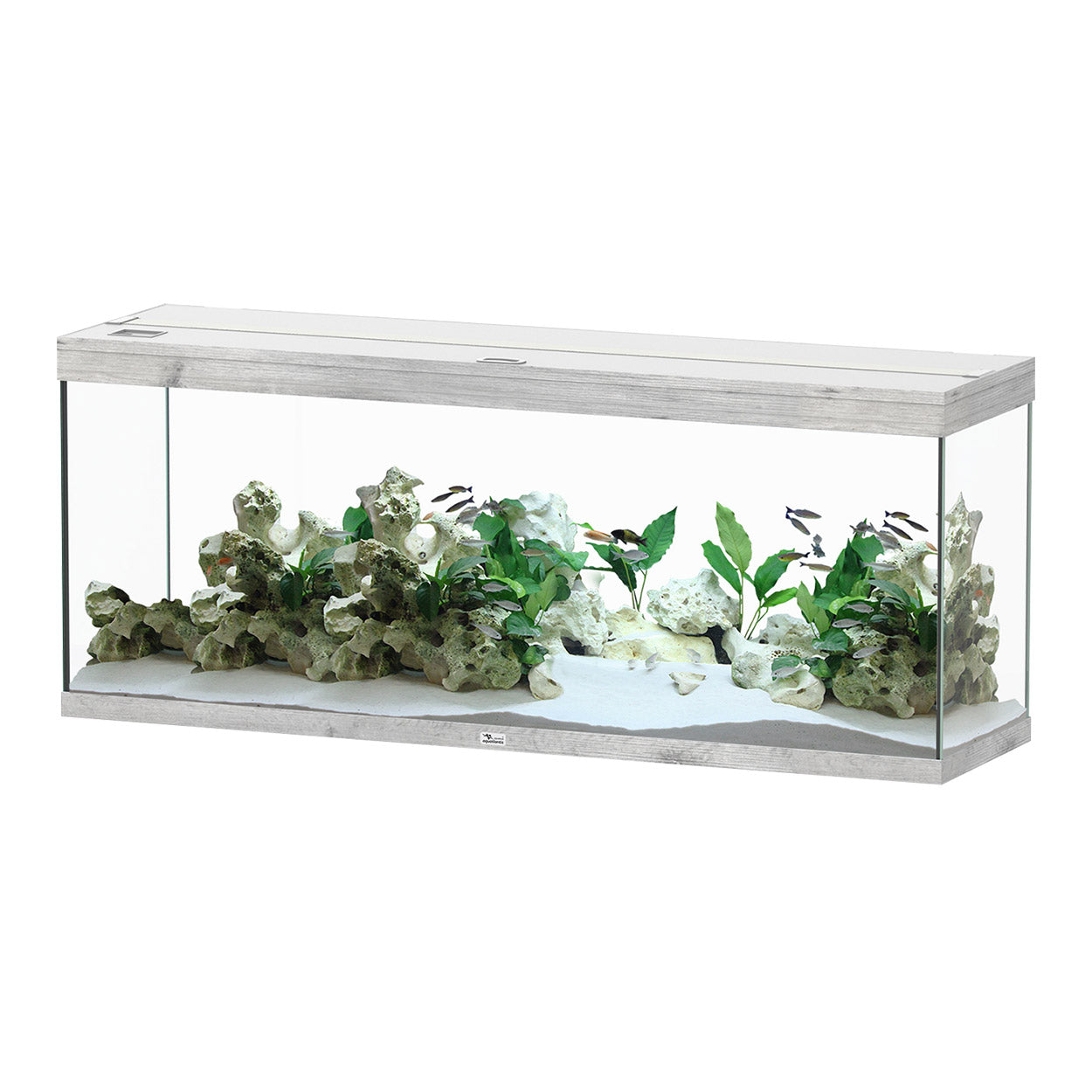 Aquarium Splendid 150 - Gris - 59" x 16" x 24"
