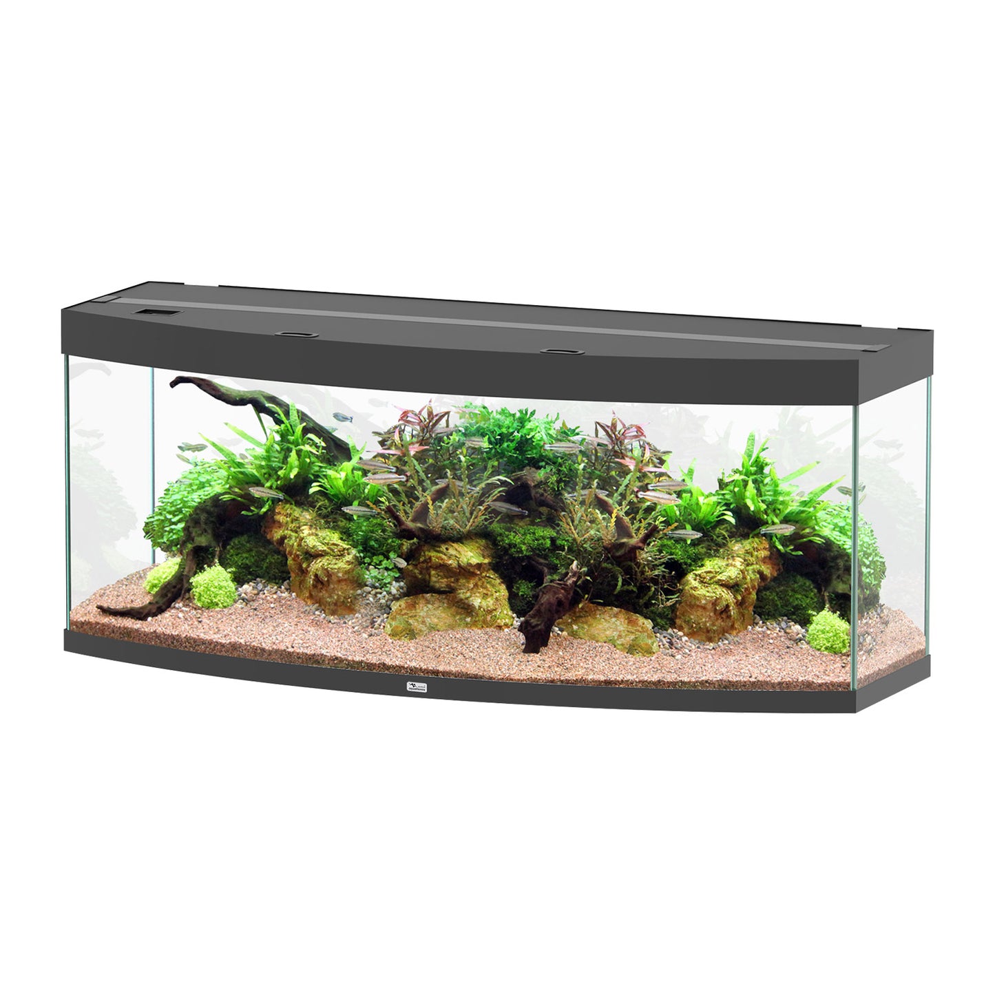 Aquarium Sublime 150 - Noir - 60"x22"x24"