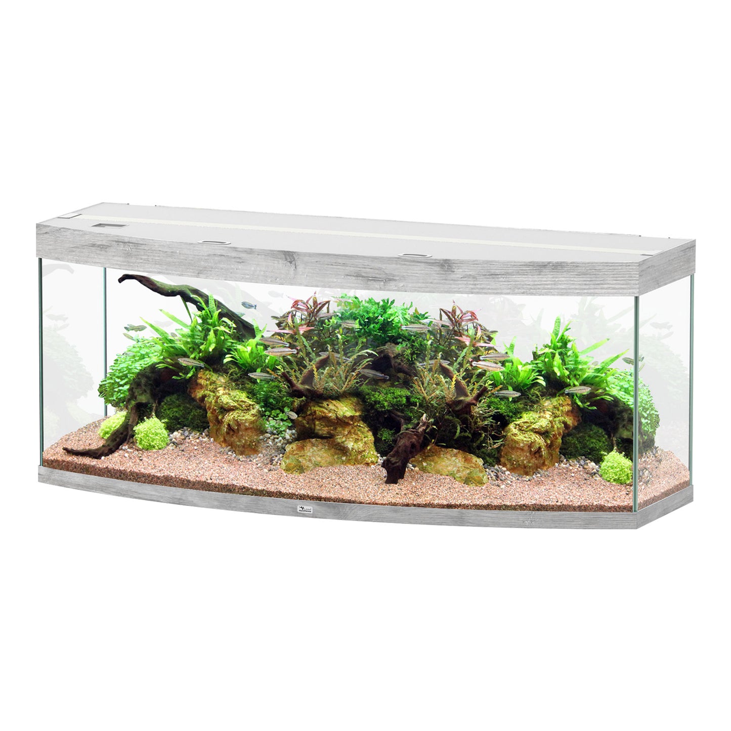 Aquarium Sublime 150 - Gris - 60"x22"x24"