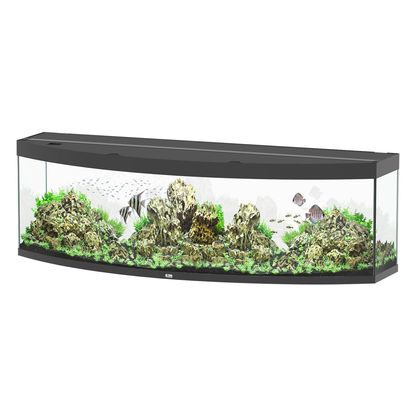 Aquarium Sublime 200 - Noir - 79"x27"x24"