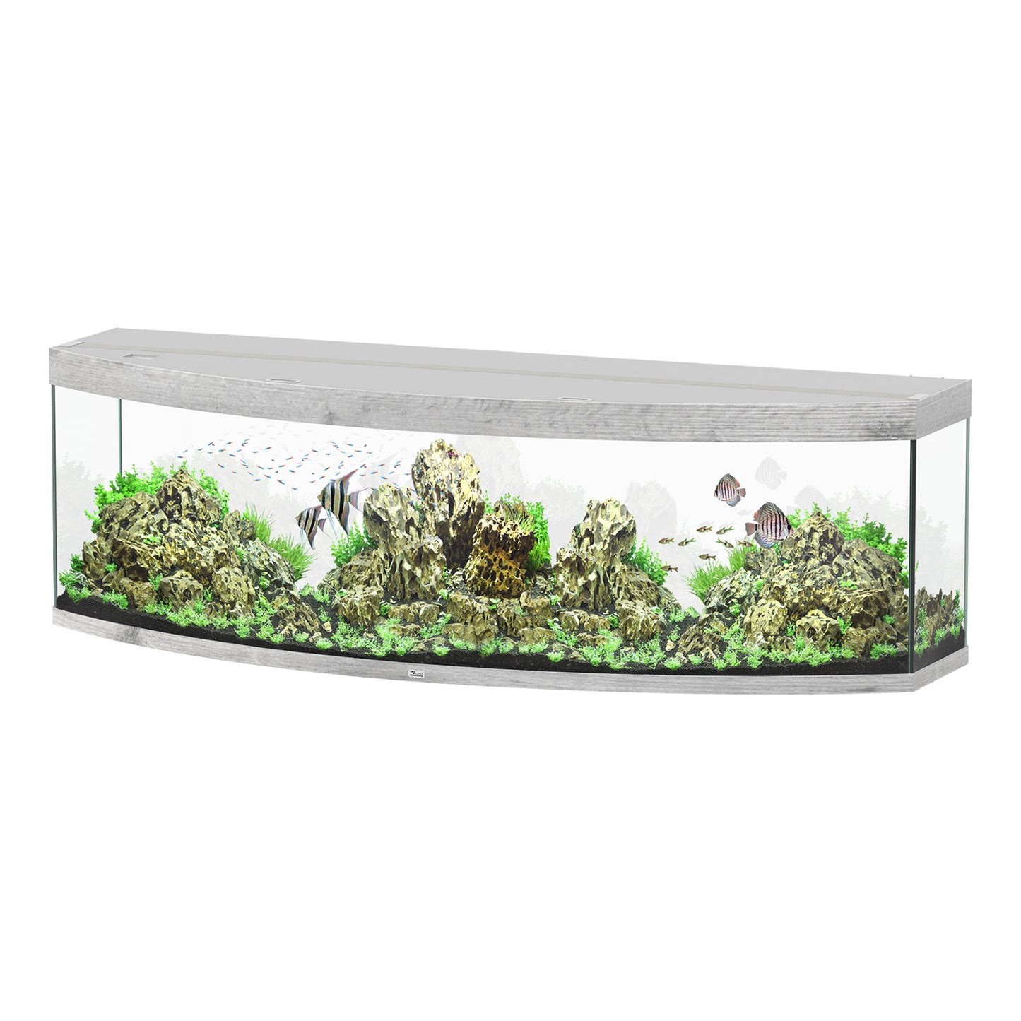 Aquarium Sublime 200 - Gris - 79"x27"x24"