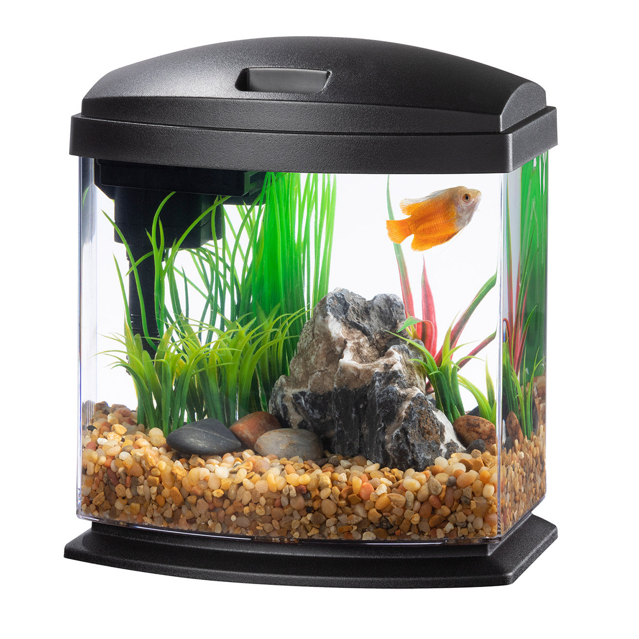 Aqueon | Aquarium Noir MiniBow (1 gal)