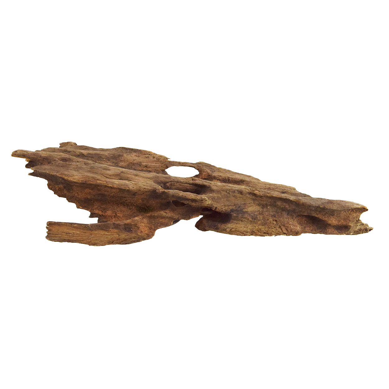 Bois d'Alvéoles | Moyen