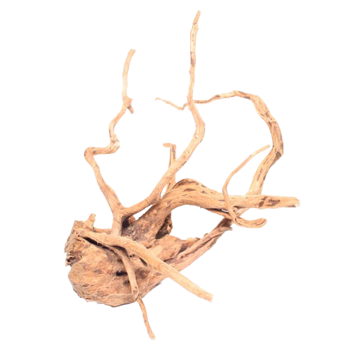 Bois de Terrarium | Large