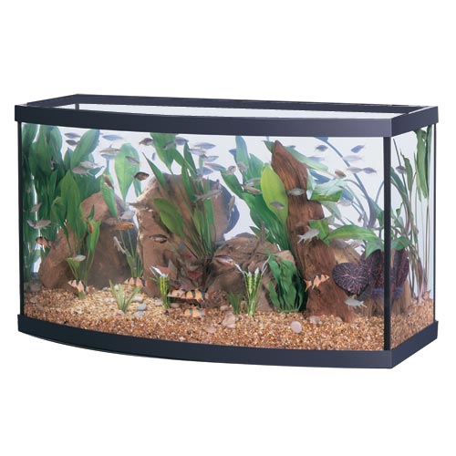 Aqueon | Aquarium Bow (46 gal) (36"x16"x21")