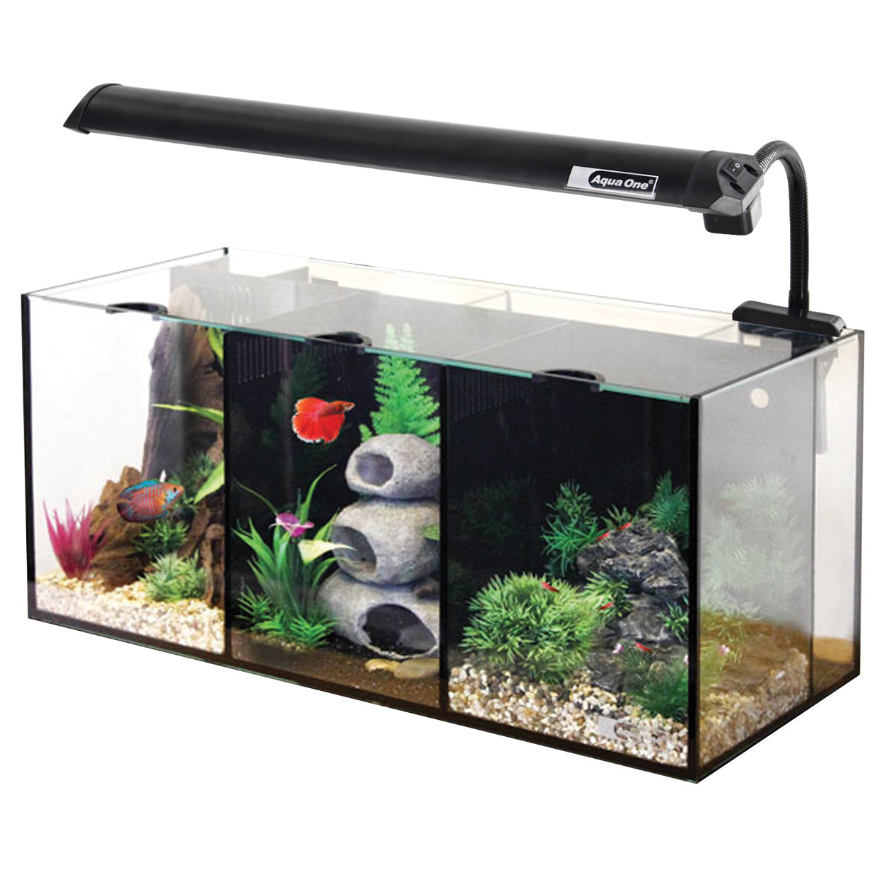 Aqua One | Aquarium Trio, 32 L (8.4 gal US) (22"x10"x10")