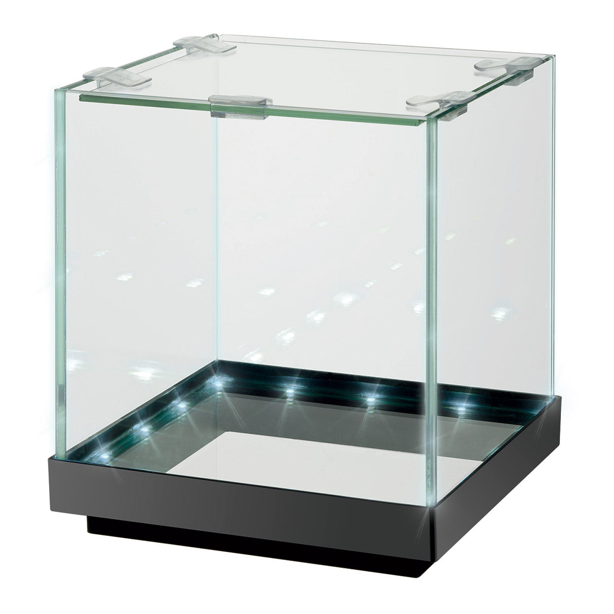 Aqueon | Aquarium Edgelit Cube (1 gal) (6"x6"x7")