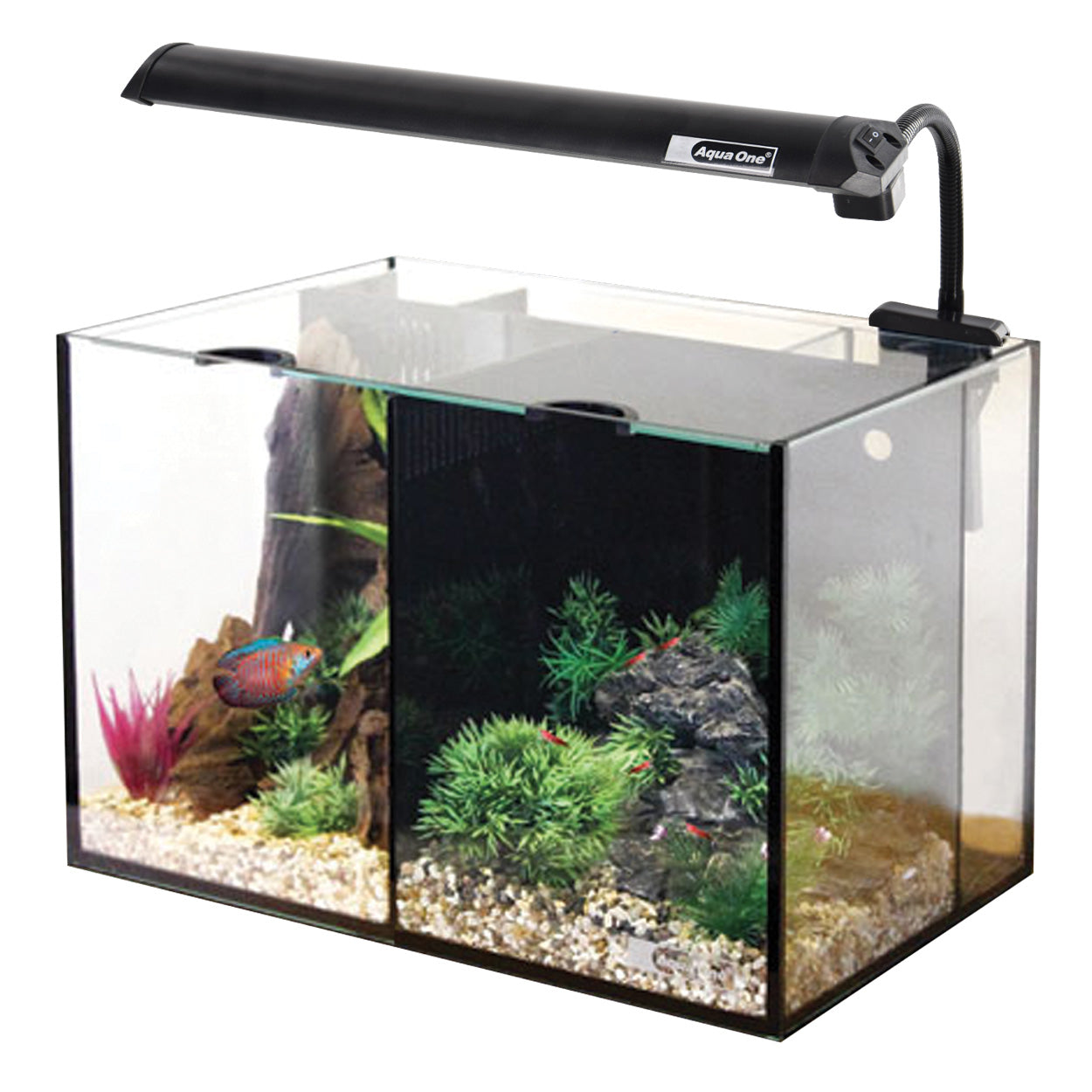 Aqua One | Aquarium Duo, 20 L (5.3 gal US) (14"x10"x10")
