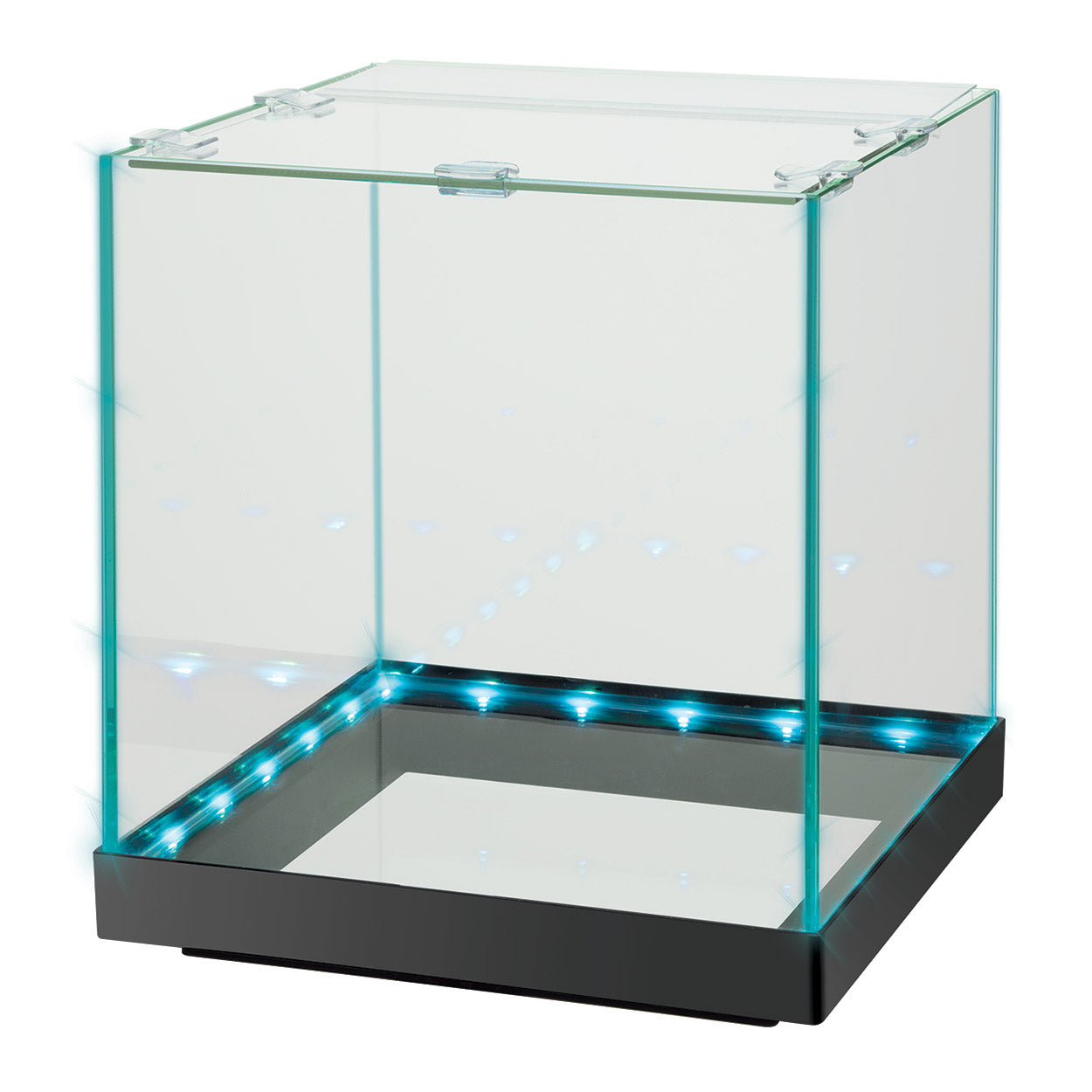 Aqueon | Aquarium Edgelit Cube (3 gal) (9"x9"x10")