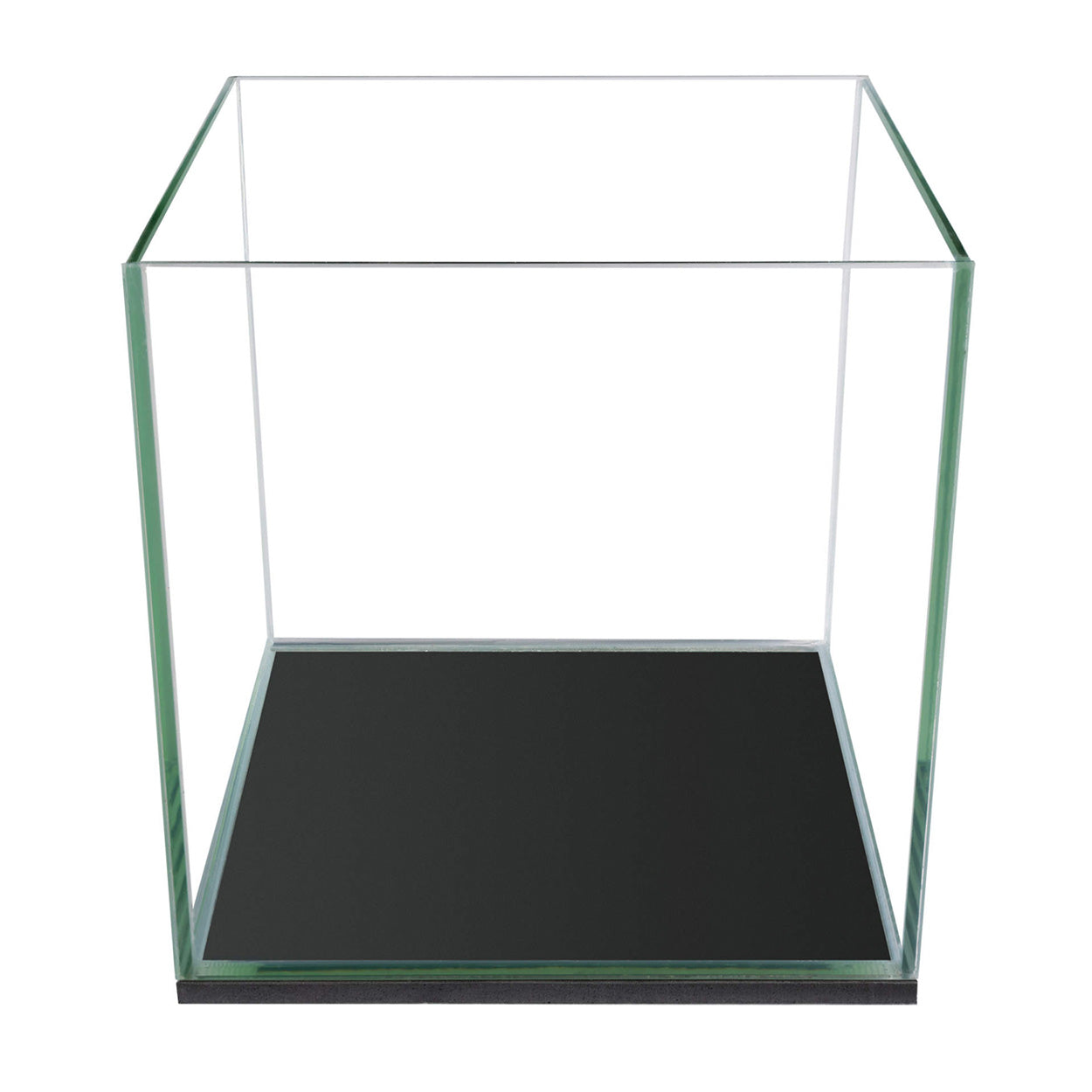 Aqueon | Aquarium Frameless Cube (1 gal) (6"x6"x6")
