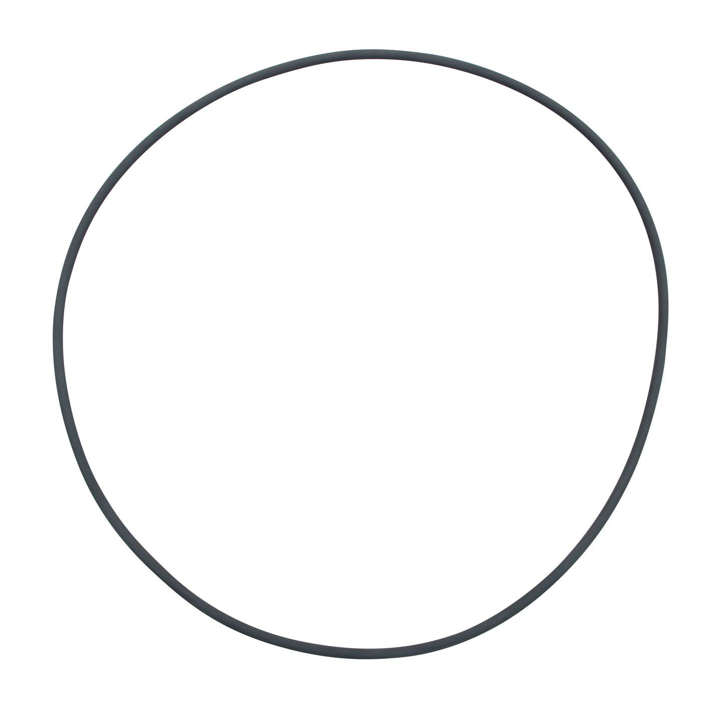 Fluval | FX5/6 Filter Lid O-Ring