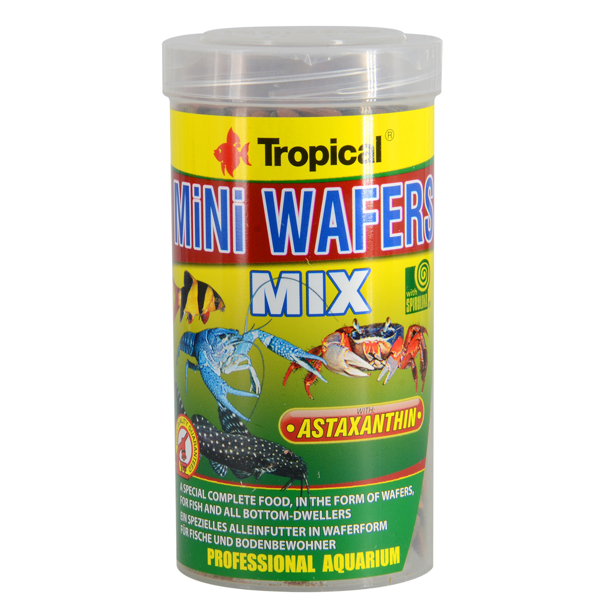 Tropical | Mini Wafers
