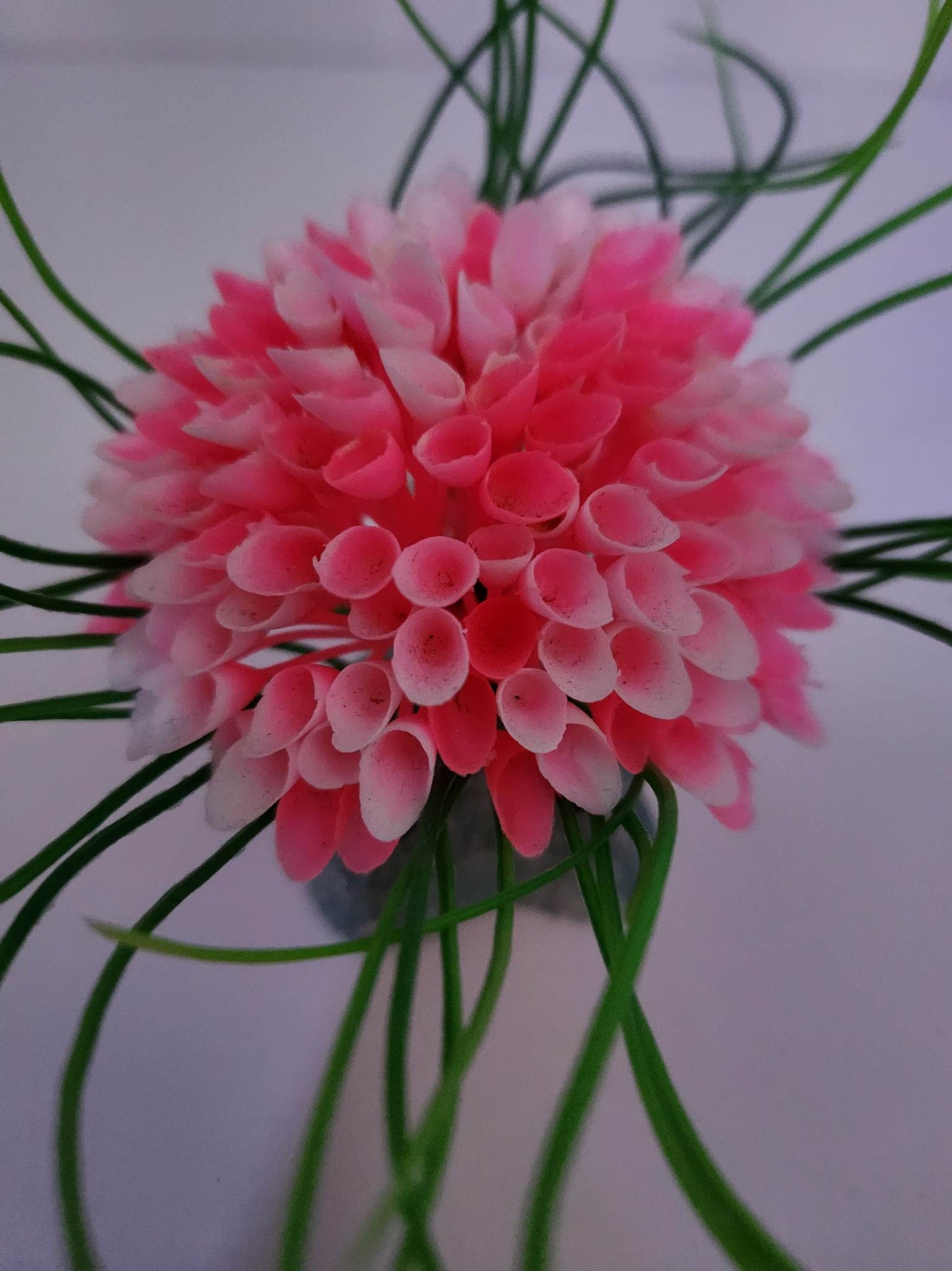 Plastic Pink Flower
