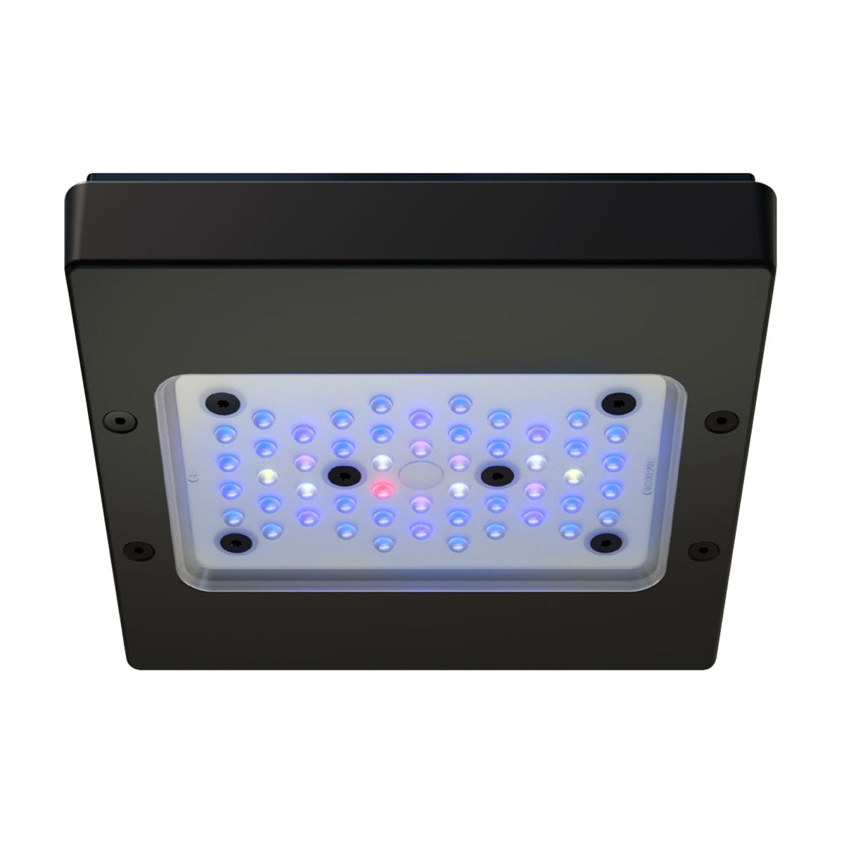 Xr15 Layout Radion XR15 G5 - Bleu – Poseidon