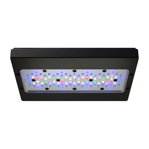 Radion XR30 G6 - Pro