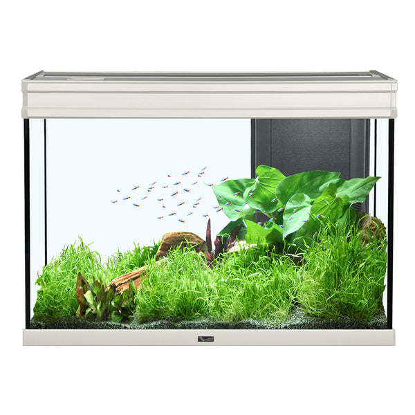 Aquarium Elegance Expert 80, Gris, (36.5 gal)