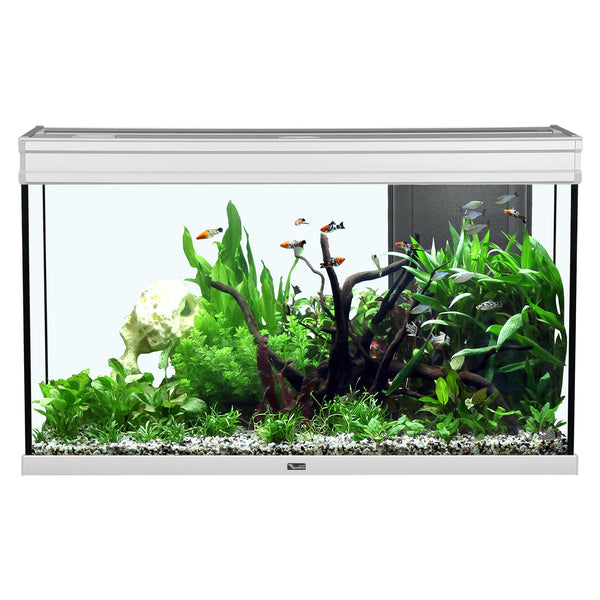 Aquarium Elegance Expert 100, Gris, (51.5 gal)