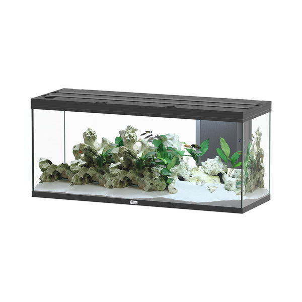 Aquarium Volga 450 - Noir Mat - 119 gallons