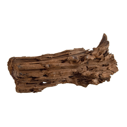Bois de Mangrove | Medium