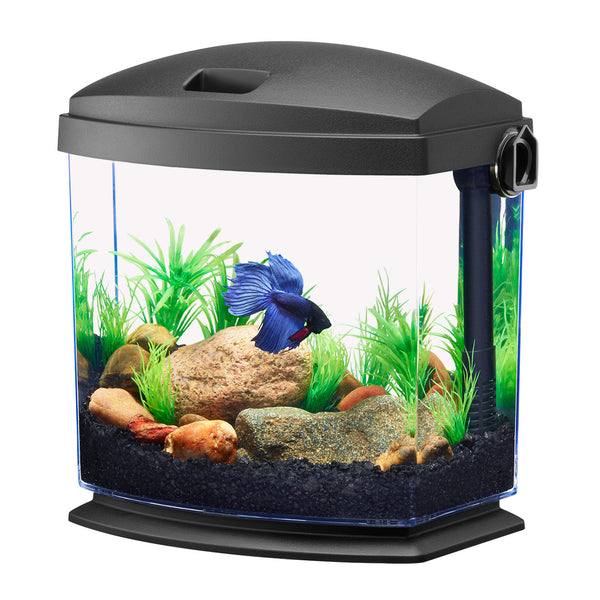Aqueon | Aquarium BettaBow (1 gal)