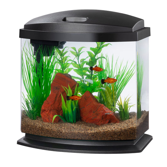 Aqueon | Aquarium Noir MiniBow (2.5 gal)