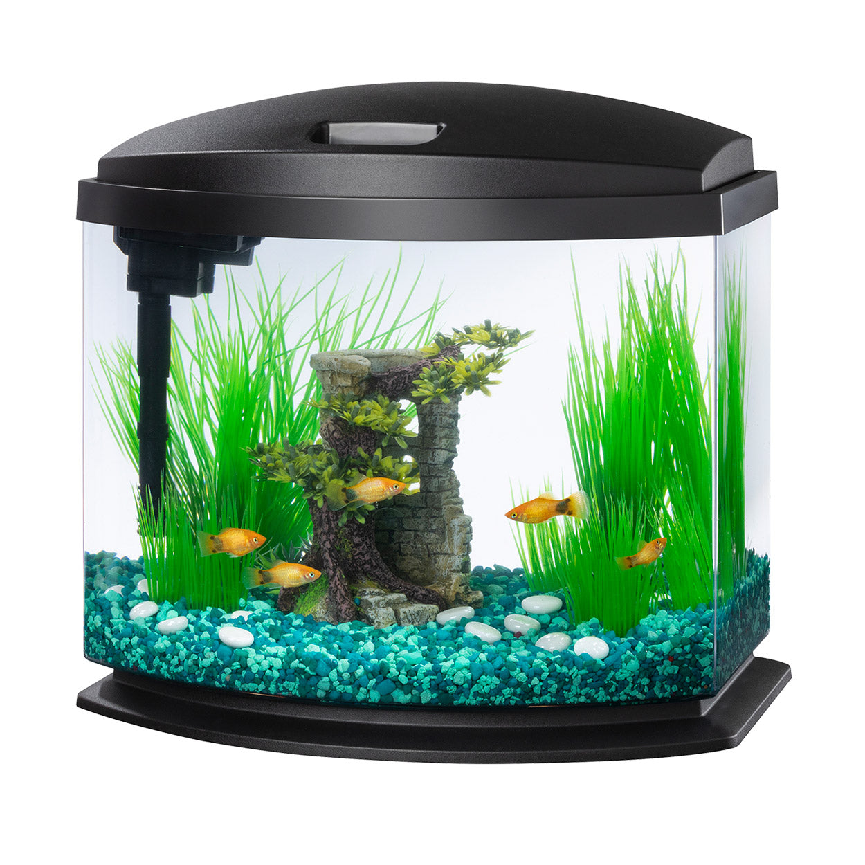 Aqueon | Aquarium Noir MiniBow (5 gal)