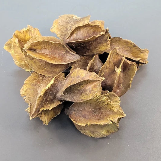 Pods de Arjuana (8x)
