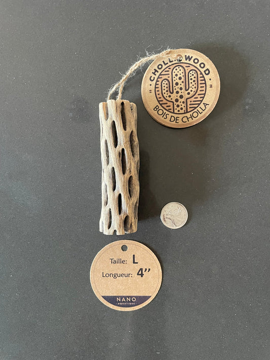 Bois de Cholla - Large - 4''
