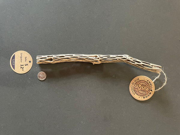 Bois de Cholla - Small - 12­­­''