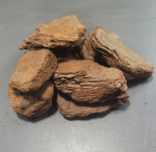 Écorce de Pin de l'Est - 100g