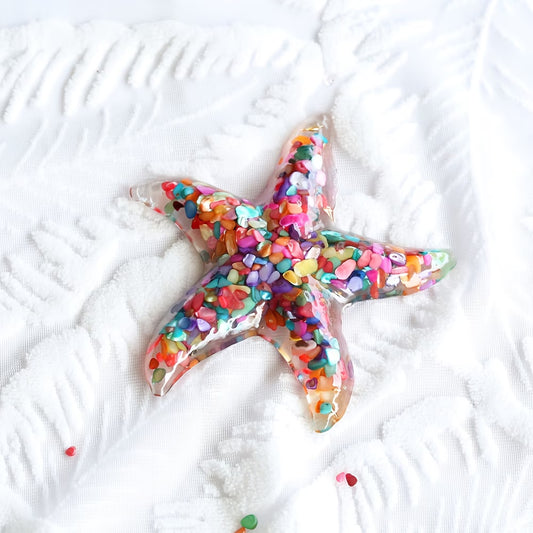 Étoile de Mer en Résine & Arc-en-ciel