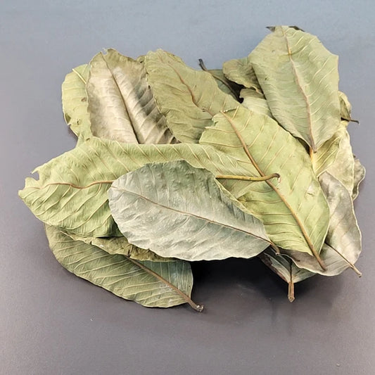 Feuille de Guava - 0.5 oz