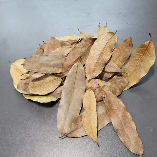 Feuille de Khaya - 1.5 oz