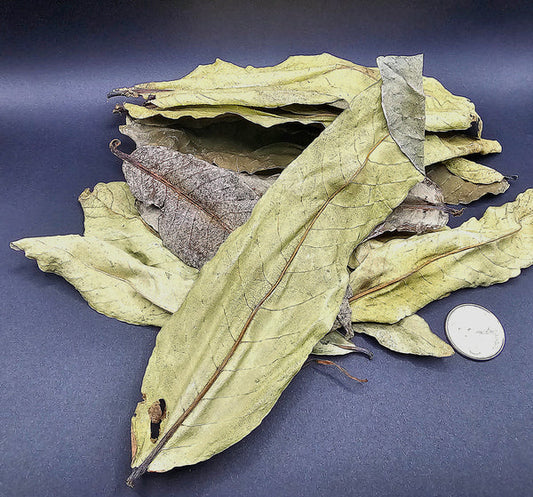 Feuille de Kumbuk - 0.5 oz
