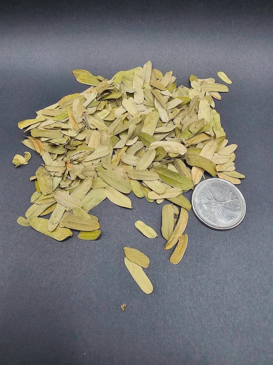 Feuille de Tamarin - 1.0 oz