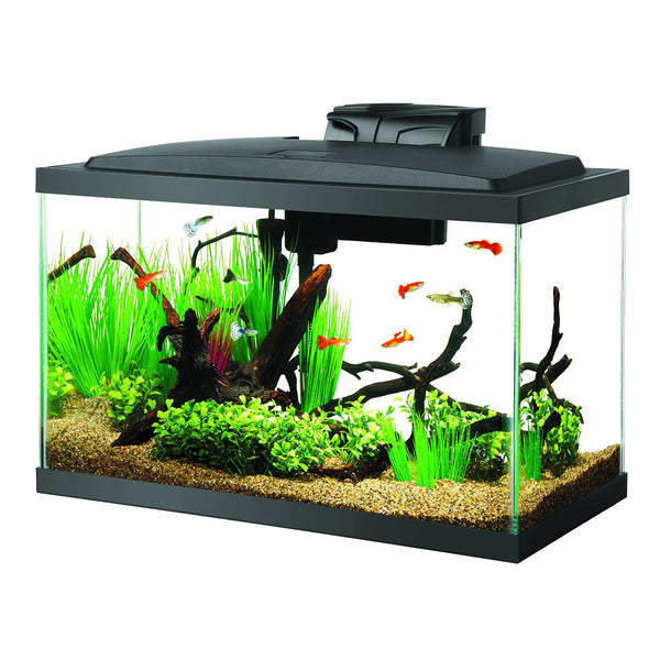 Aqueon | Aquarium (10 gal) (22"x12"x14")