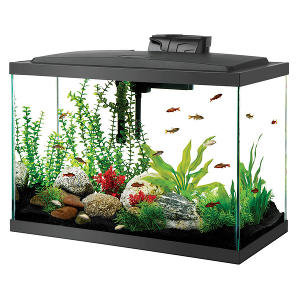 Aqueon | Aquarium (20 gal) (24"x12"x20")