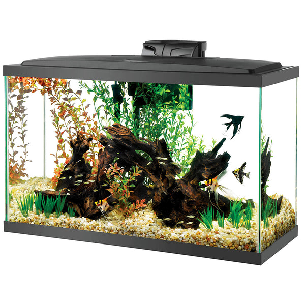 Aqueon | Aquarium (29 gal) (30"x13"x22")