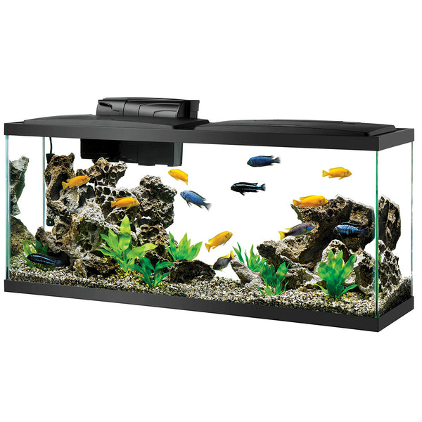 Aqueon | Aquarium (55 gal) (48"x12"x24")