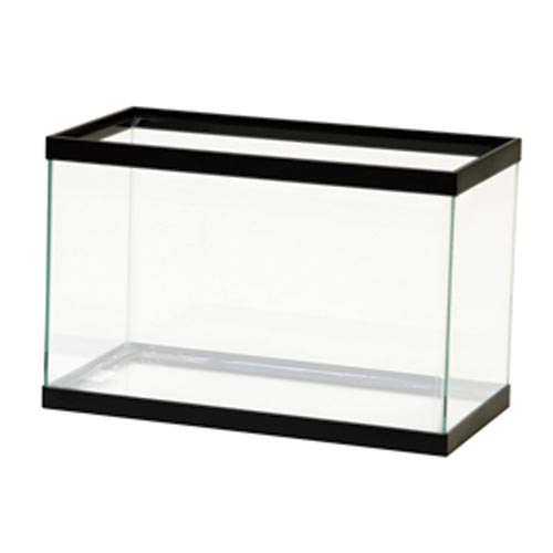 Aqueon | Aquarium Clair (5.5 Gallons) (16"x8"x10")
