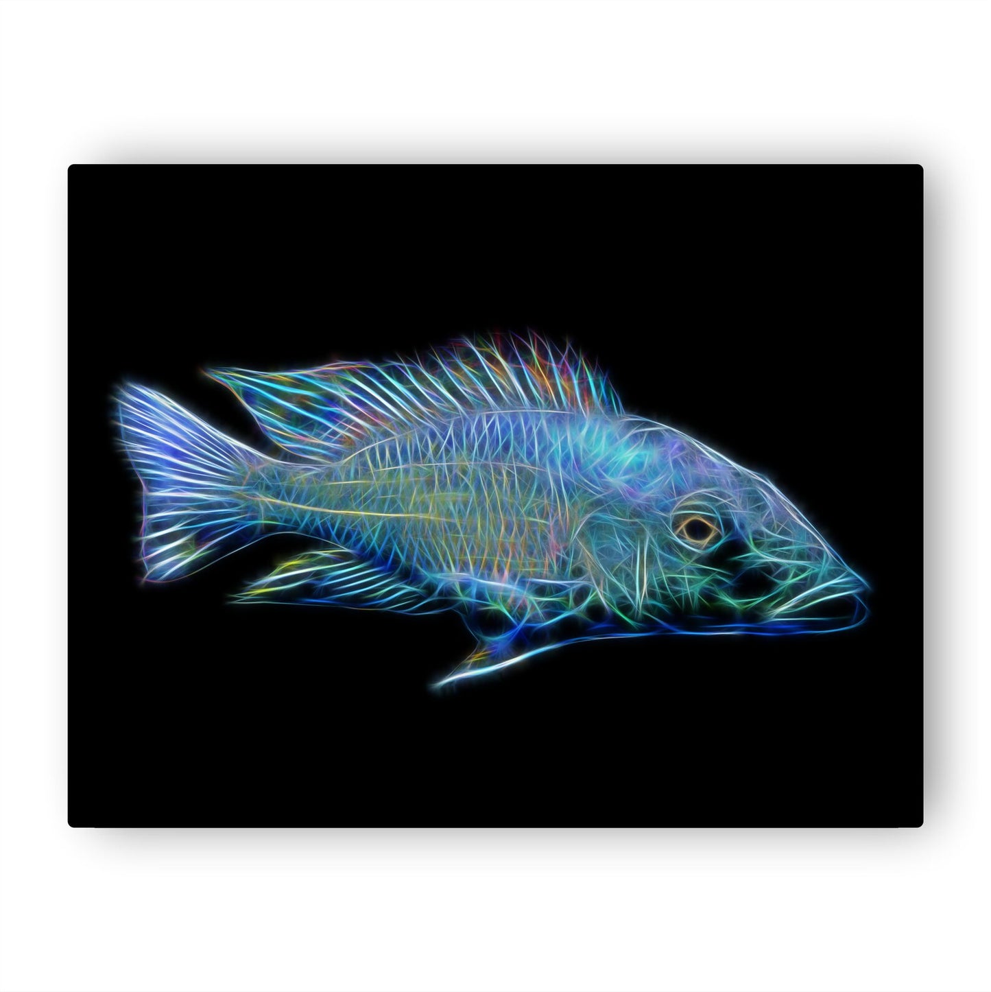 Fossorochromis Rostratus
