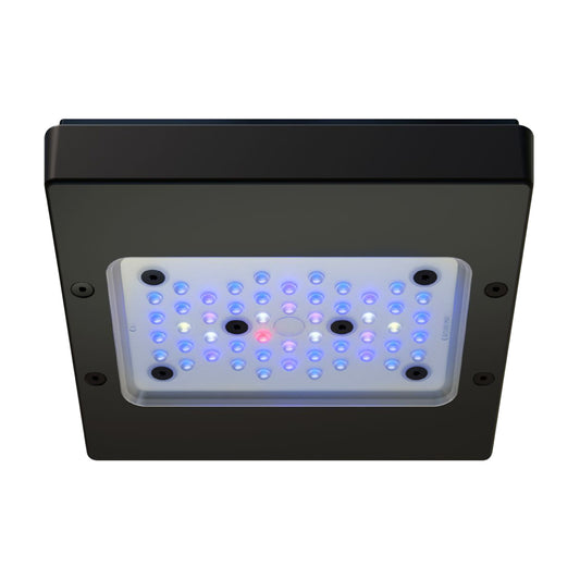Radion XR15 G6 LED Lighting - Blue