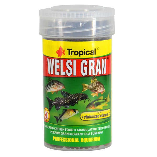 Tropical | Welsi Gran